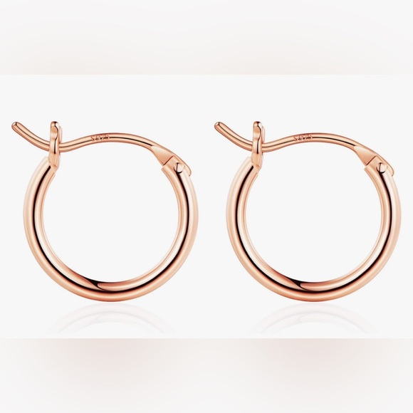Elegant Rose Gold Hoop Earrings (065) - Picture 1 of 5